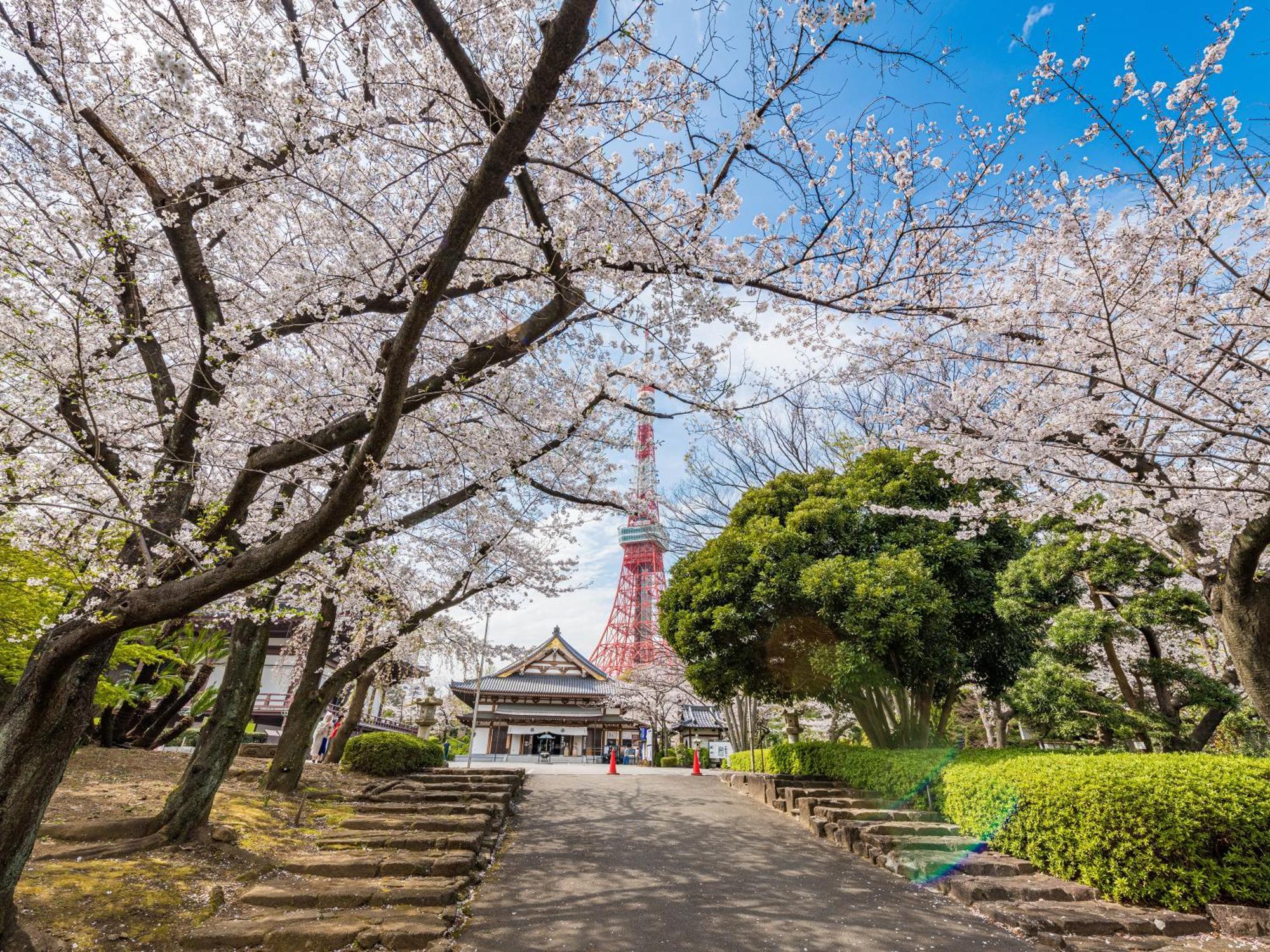 Illi Rom Hamamatsucho Hotel Tokyo Ngoại thất bức ảnh